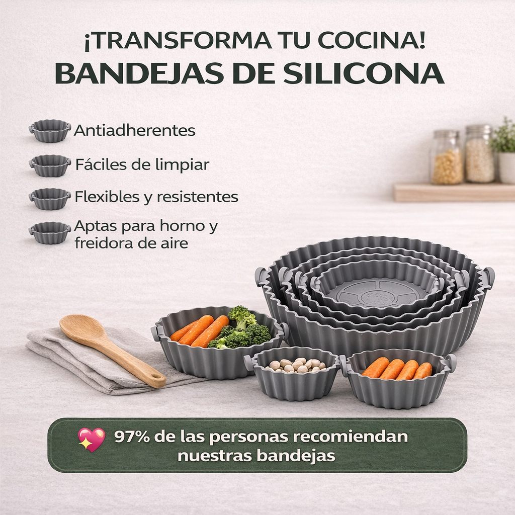Pack 6 Bandejas de silicona FryFlex™