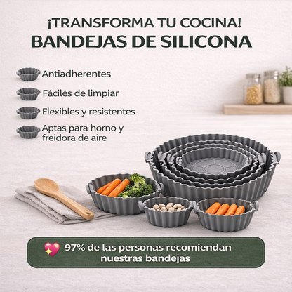 Pack 6 Bandejas de silicona FryFlex™